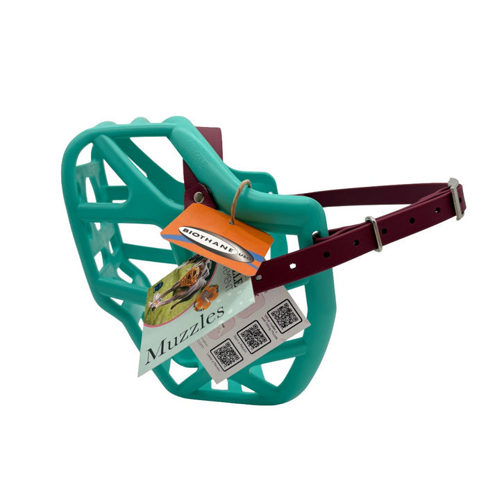 Mitzy - Teal with Wine biothane (Nickle)