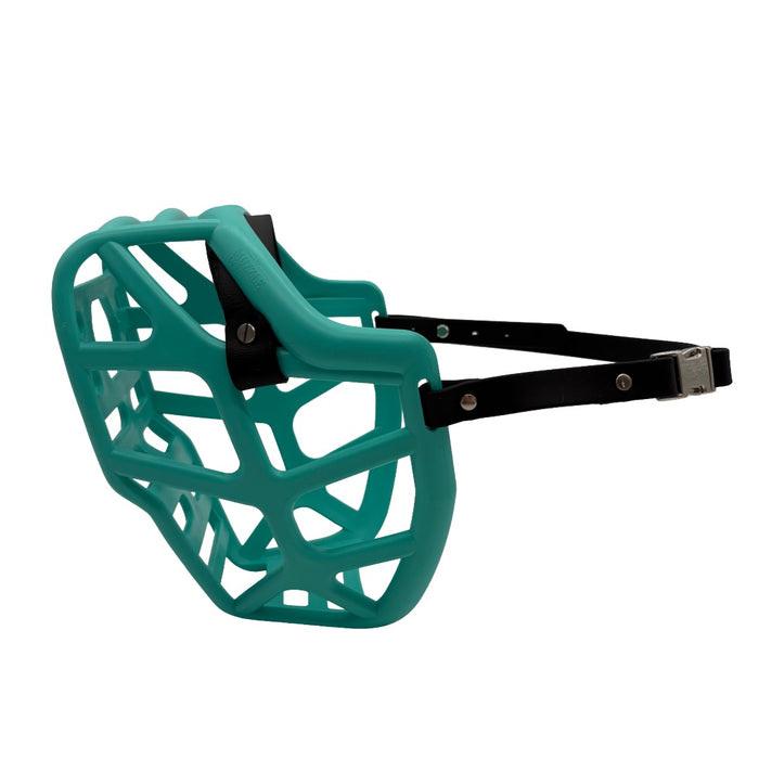Mitzy - Teal with Black biothane & foam noseband (Quick Release)
