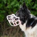 Size Neli Dog Muzzle - Made to order muzzle with colour customisation