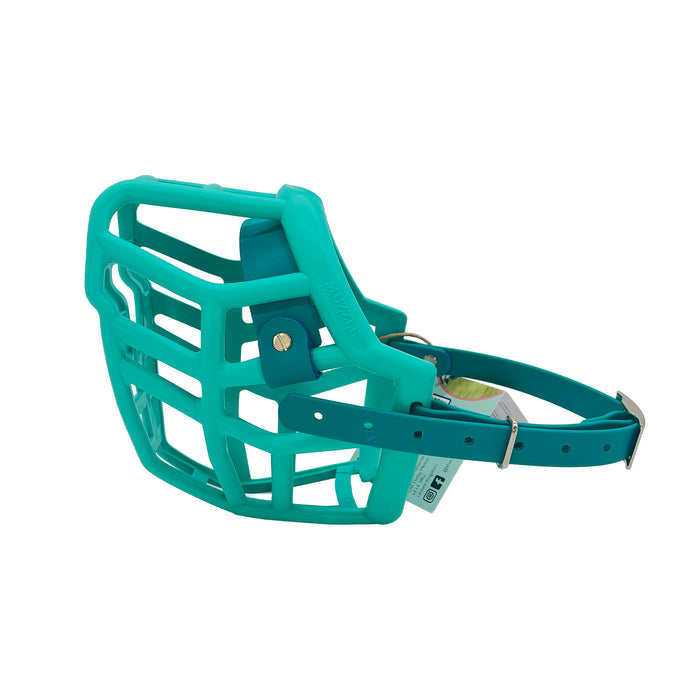 Neli - Teal with Teal Biothane (Chicago Screws & Nickle)