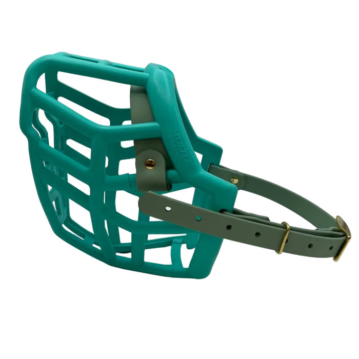 Neli - Teal with Sage Green biothane (Brass)