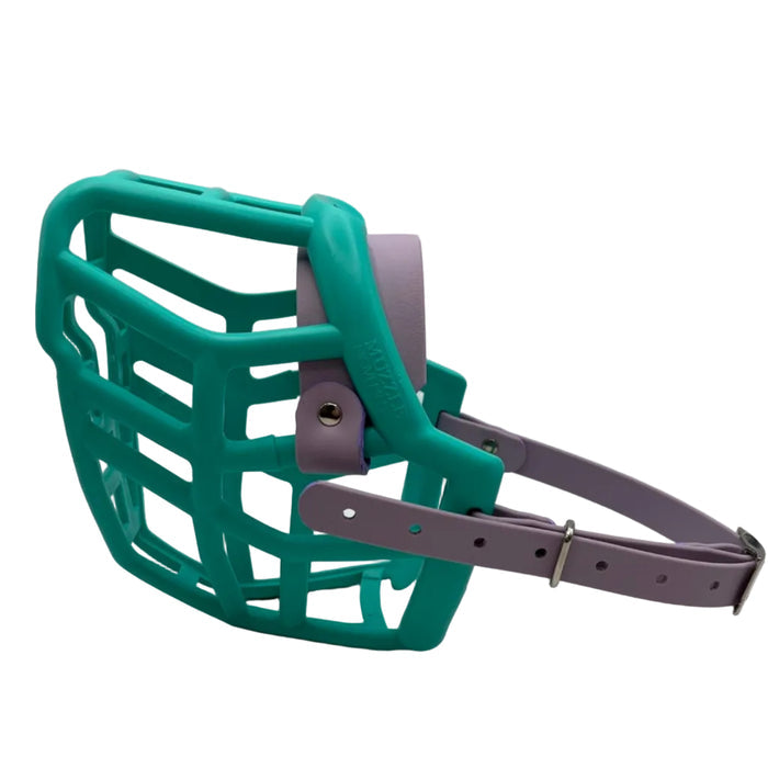 Neli* - Teal with Pastel Purple biothane (Nickle)