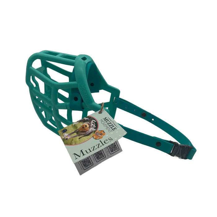 Neli - Teal with Teal biothane (Quick Release)