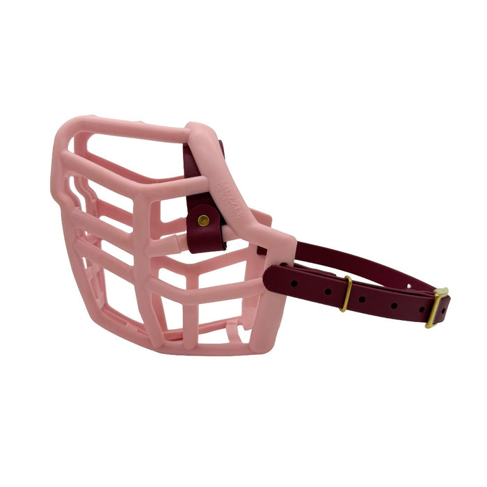 Neli - Pastel Pink with Wine biothane (Brass)