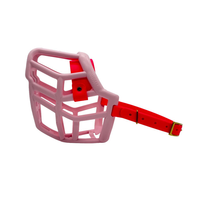 Neli* - Pastel Pink with Neon Pink biothane (Brass)