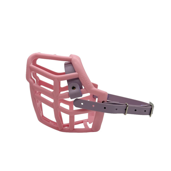 Neli - Pastel Pink with Pastel Purple biothane (Nickle)