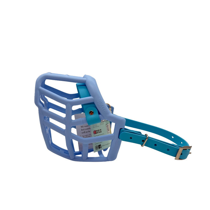 Neli - Baby Blue with Skyan Blue biothane (Nickle)