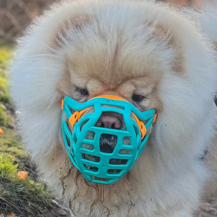 Size Pippa Dog Muzzle - Made to order muzzle with colour customisation