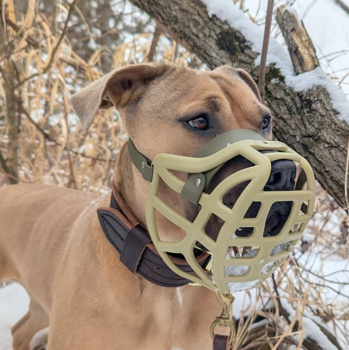 Size Pippa Dog Muzzle - Made to order muzzle with colour customisation
