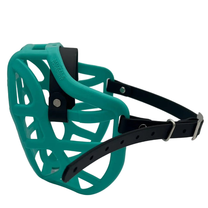 Size Pippa Dog Muzzle - ready to ship
