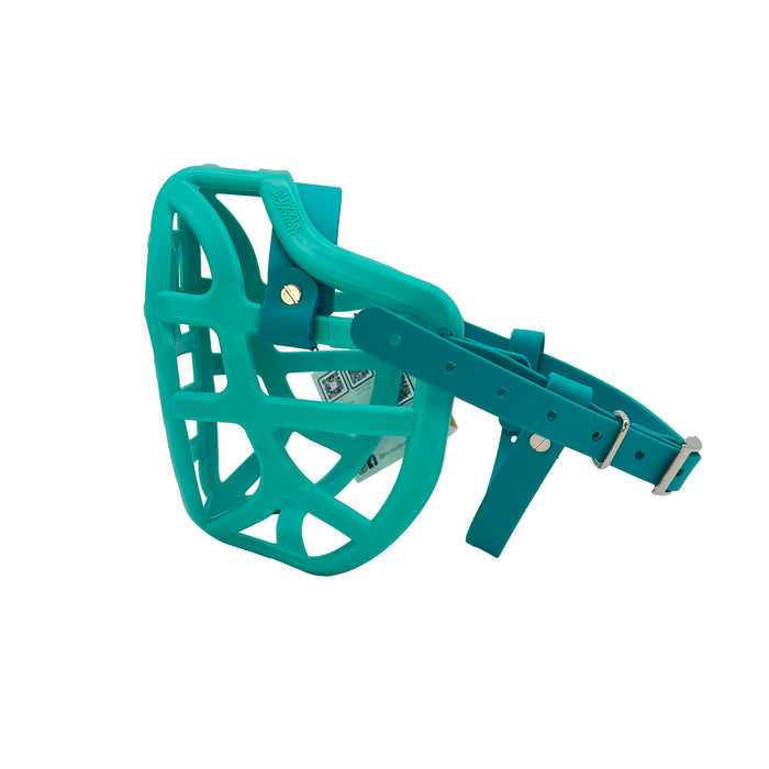 Pippa - Teal with Teal Biothane (Chicago Screws & Nickle)