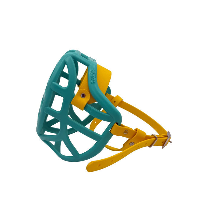 Pippa* - Teal with Yellow biothane (Nickle)