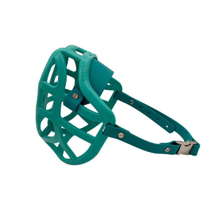 Pippa* - Teal with Teal biothane (Quick Release & Chicago Screws)
