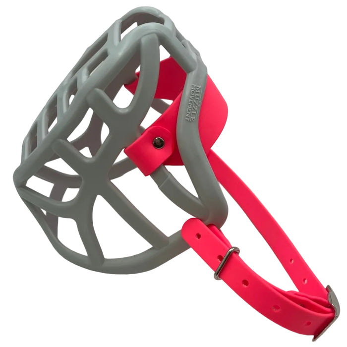 Pippa* - Grey with Neon Pink biothane (Nickle)