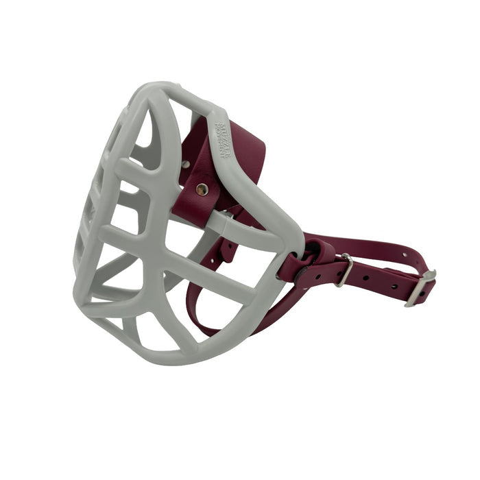 Pippa* - Grey with Wine biothane (Nickle)