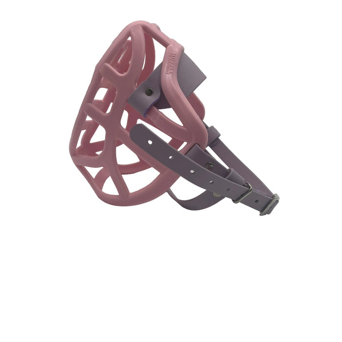 Pippa* - Pastel Pink with Pastel Purple biothane (Nickle)