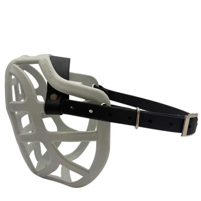 Size Pippa Dog Muzzle - ready to ship