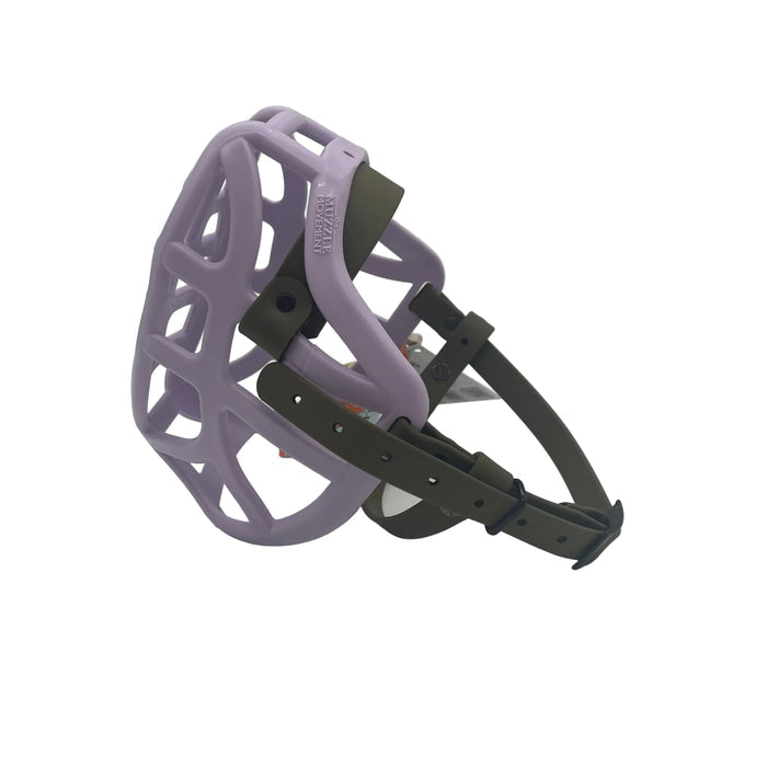 Pippa - Lilac with Military Olive biothane (Black)
