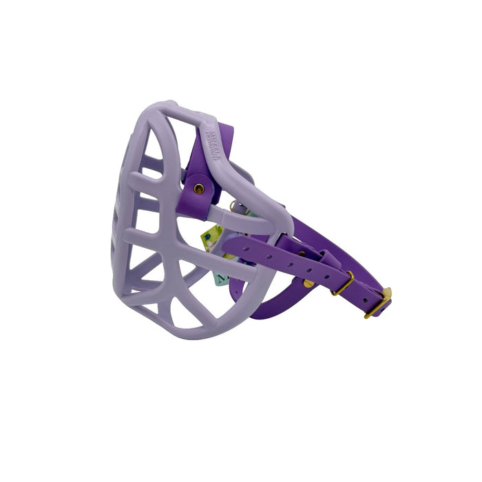 Pippa - Lilac with Amethyst Purple biothane (Brass)