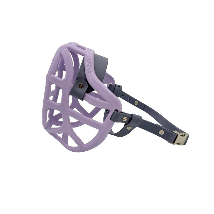 Pippa* - Lilac with Grey biothane & foam noseband (Quick Release & Chicago Screws)