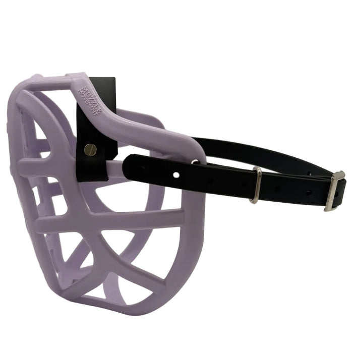 Size Pippa Dog Muzzle - ready to ship