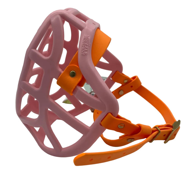 Size Pippa Dog Muzzle - ready to ship