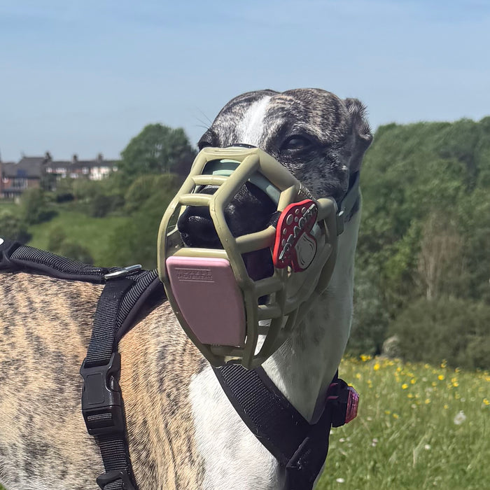 Size Rex Dog Muzzle - Made to order muzzle with colour customisation