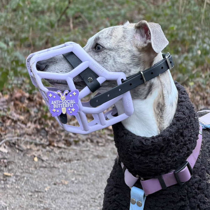 Size Rex Dog Muzzle - Made to order muzzle with colour customisation
