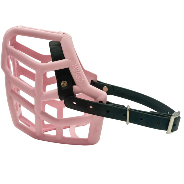 Size Rex Dog Muzzle - ready to ship