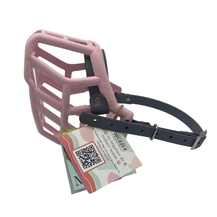 Rex - Pastel Pink with Grey biothane (Nickle)