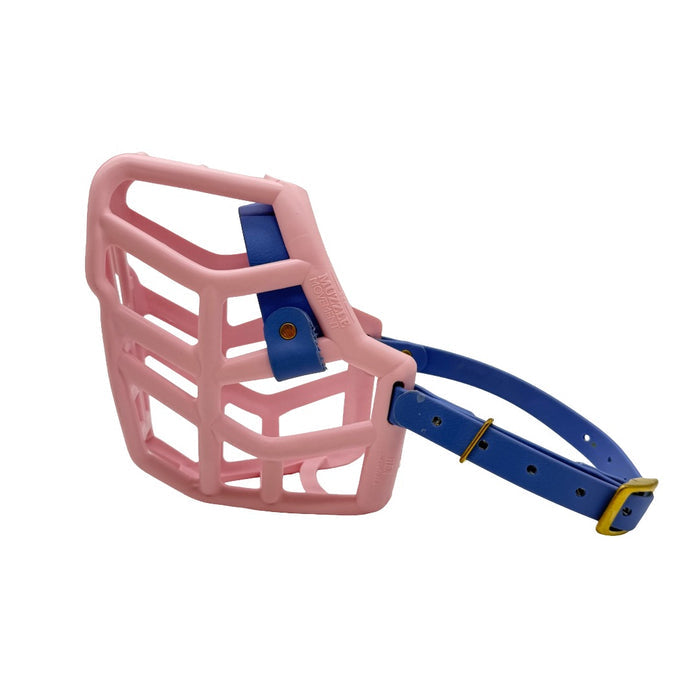 Rex - Pastel Pink with Periwinkle biothane (Brass)