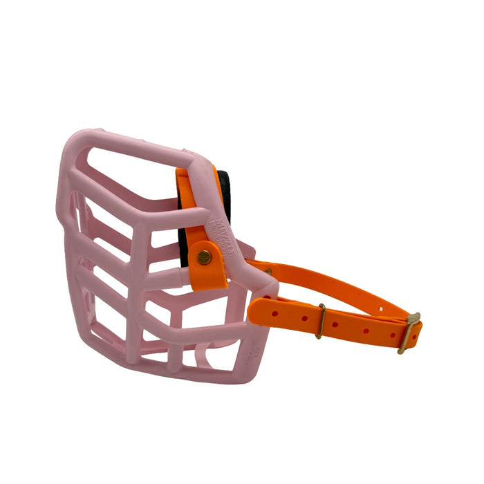 Rex - Pastel Pink with Peach biothane & foam noseband (Brass)
