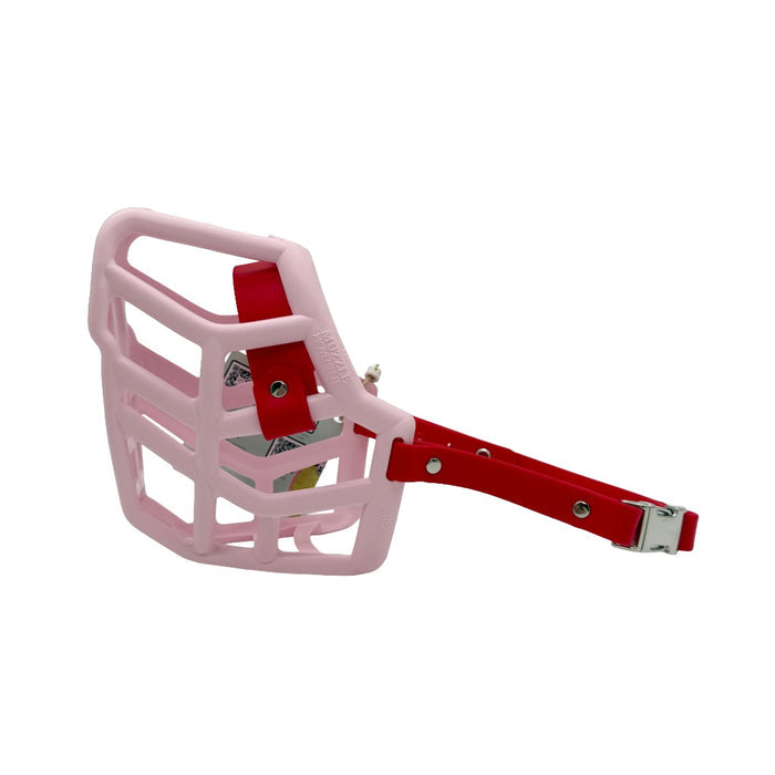 Rex - Pastel Pink with Red biothane (Quick Release)