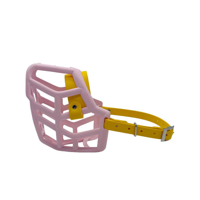 Rex* - Pastel Pink with Yellow biothane (Nickle)