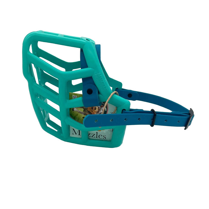 Rex - Teal with Lagoon Biothane (Black)