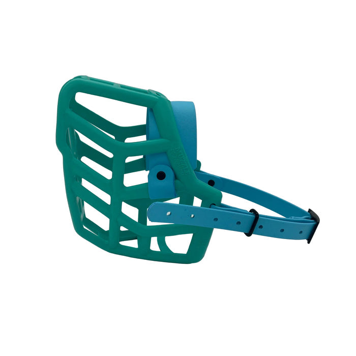Rex* - Teal with Skyan Blue biothane (Black)