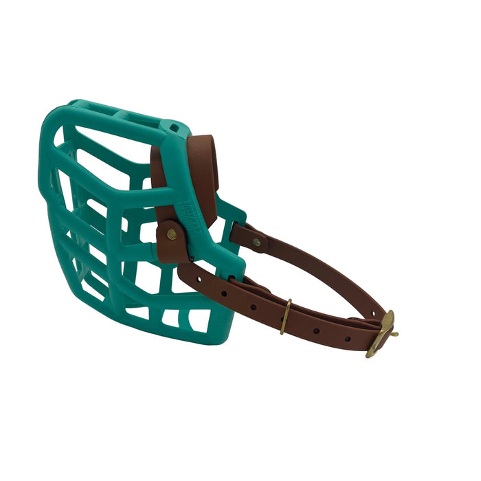 Rex* - Teal with Light Brown biothane (Brass)