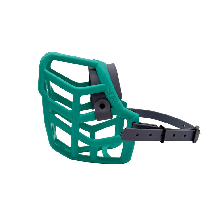Rex* - Teal with Grey biothane (Black)