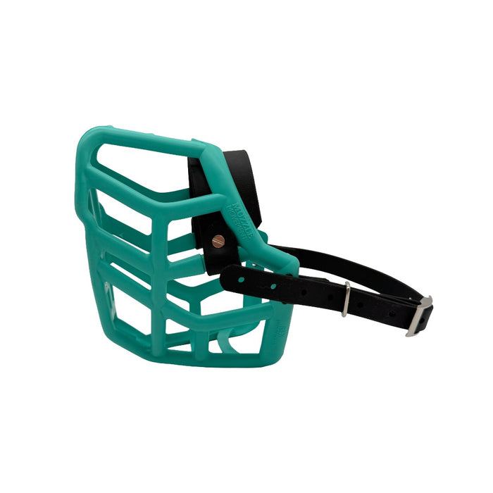 Rex* - Teal with Black biothane (Chicago Screws)