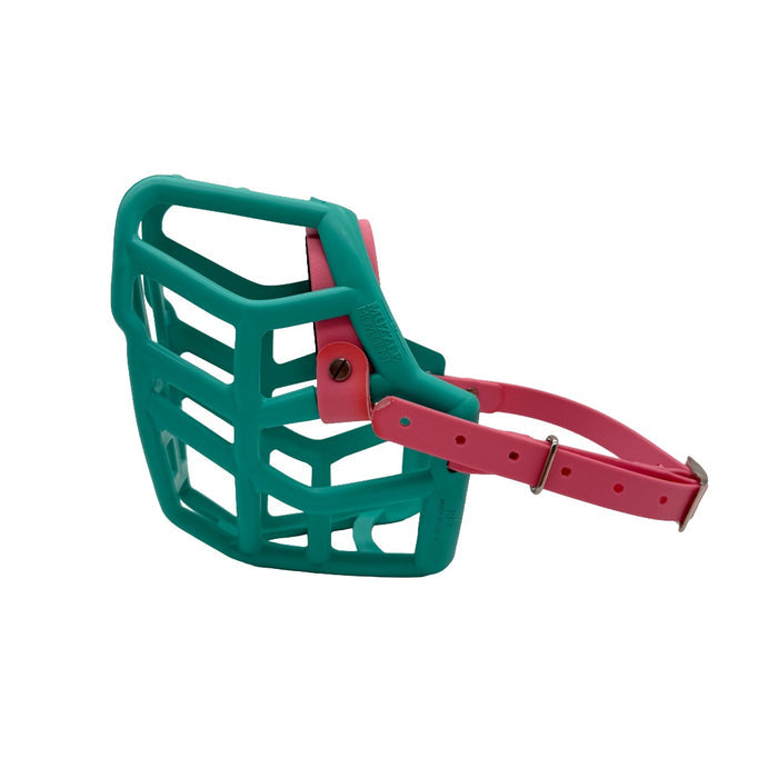 Rex - Teal with Pastel Pink biothane & foam noseband (Nickle)