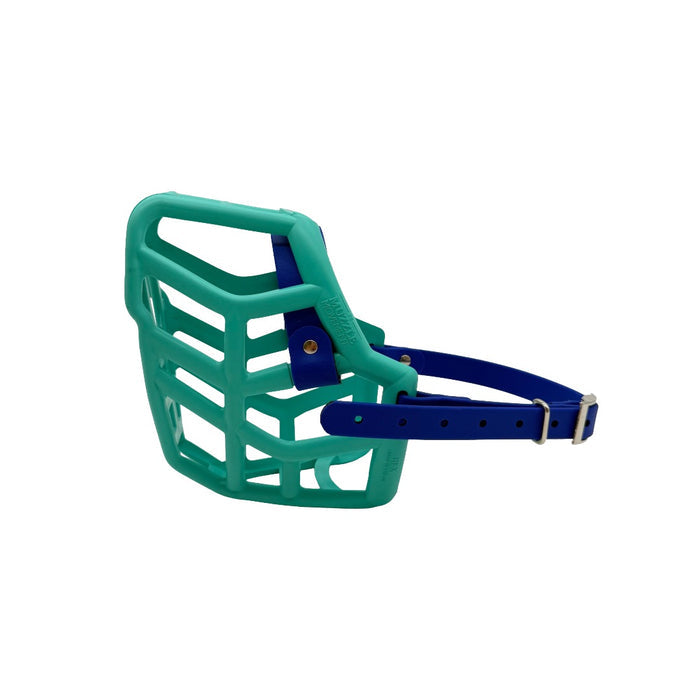Rex - Teal with Dark Blue biothane (Nickle)
