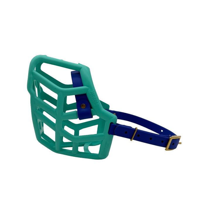 Rex - Teal with Dark Blue biothane (Brass)