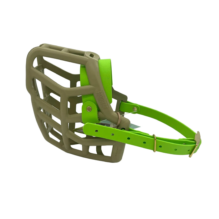 Rex* - Khaki with Apple Green Biothane (Brass)