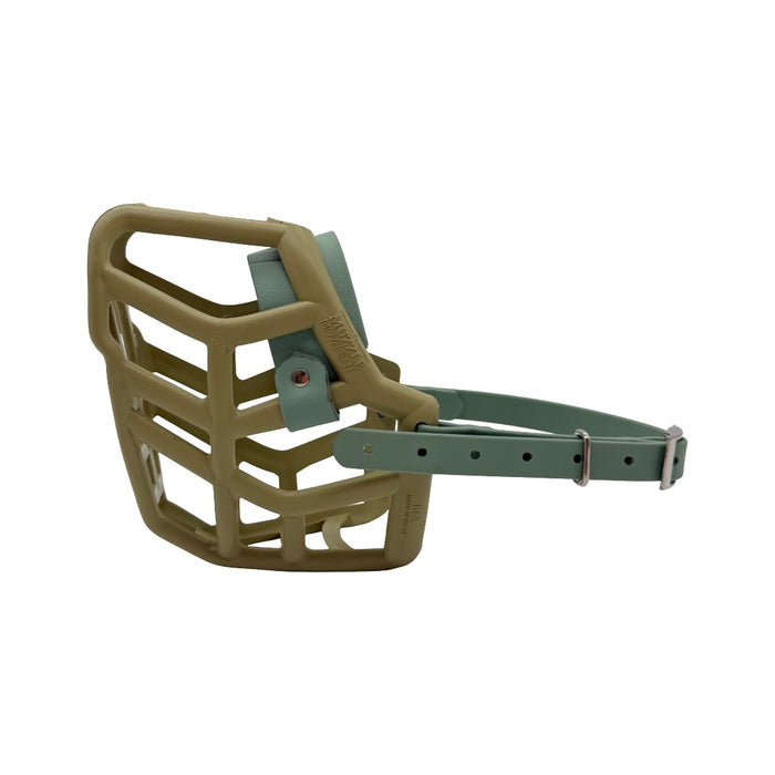 Rex* - Khaki with Sage Green biothane (Nickle)