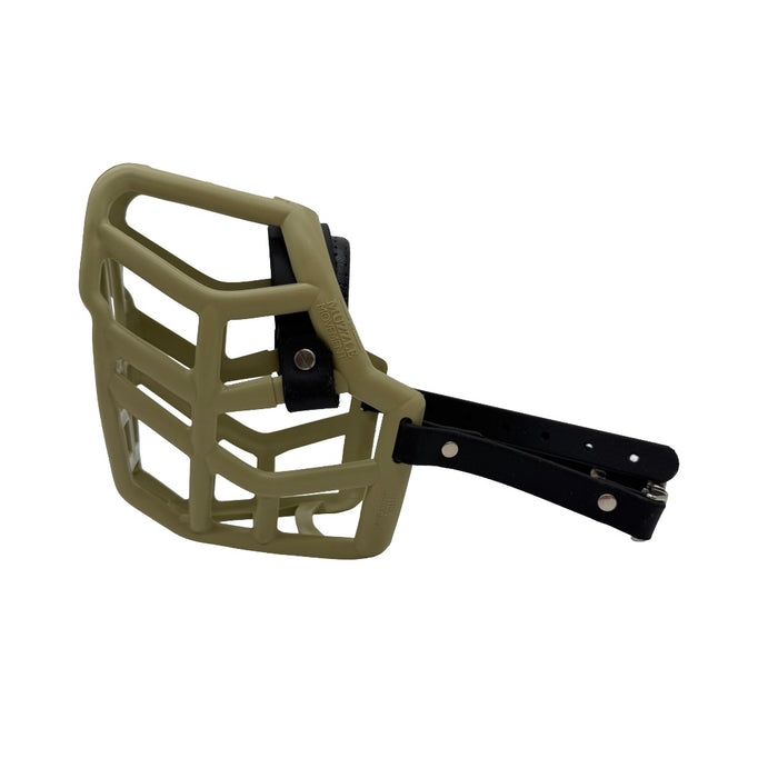 Rex - Khaki with Black biothane & foam noseband (Quick Release)