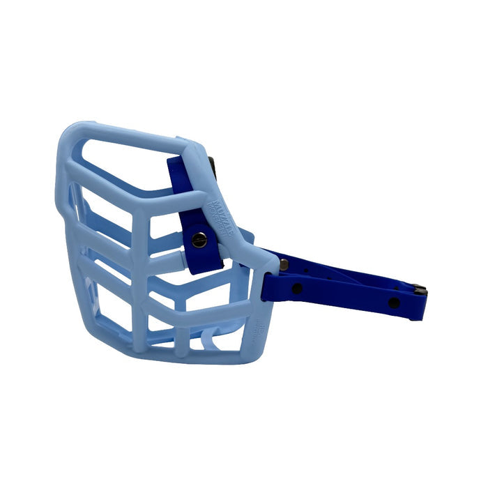 Rex - Baby Blue with Dark Blue biothane & foam noseband (Quick Release)