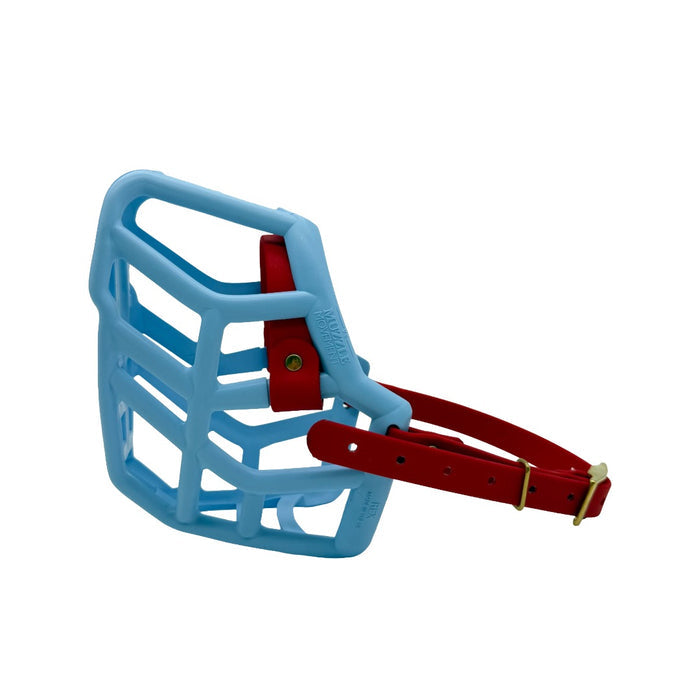 Rex - Baby Blue with Red biothane (Brass)