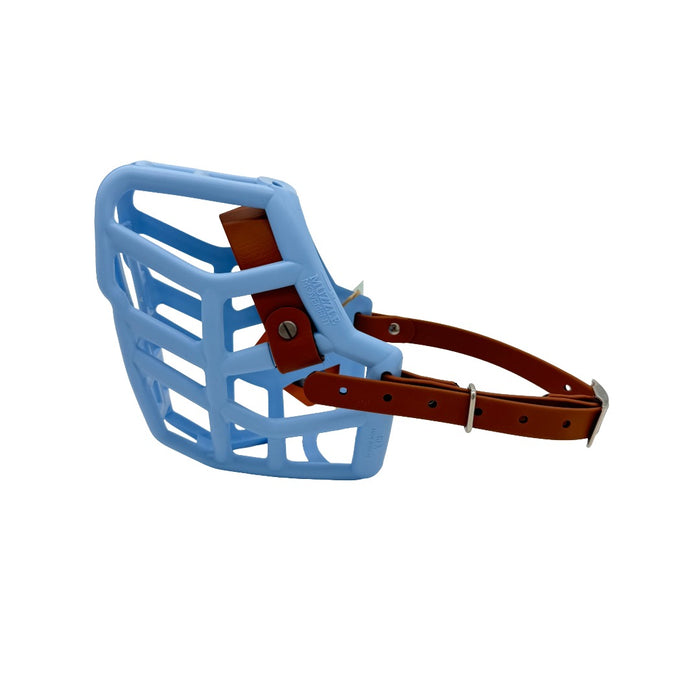 Rex - Baby Blue with Light Brown biothane & foam noseband (Nickle)