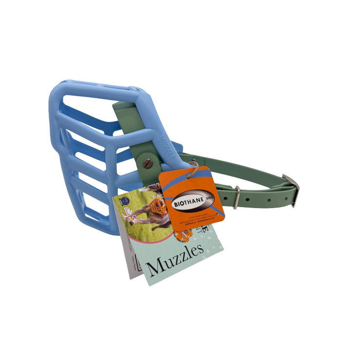Rex - Baby Blue with Sage Green biothane & foam noseband (Nickle)