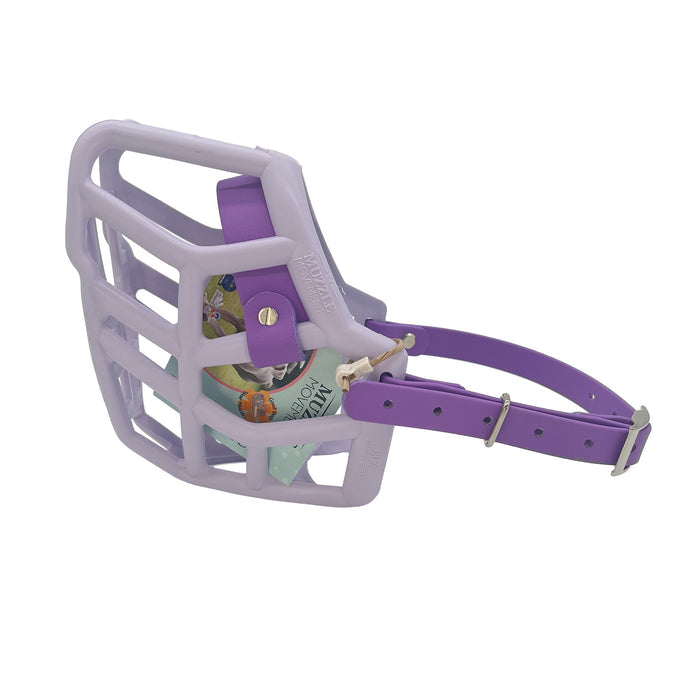 Rex - Lilac With Amethyst Purple Biothane (Chicago Screws & Nickle)